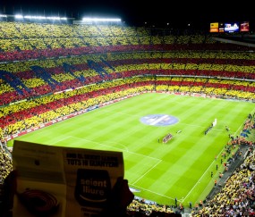 开云APP-当猛龙撕碎北岸花园，文班亚马已在欧洲之巅写下未来