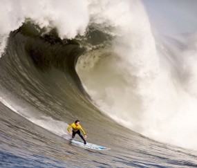 开云体育app-恩佐的隐形战靴，当荷兰郁金香在澳大利亚烈日下绽放