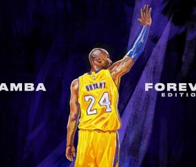 开云平台-约基奇关键战不手软，浙江队与活塞的降维打击背后，是篮球哲学的殊途同归