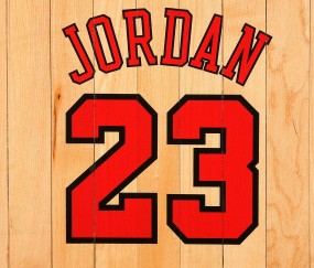 开云体育中国-快船火力全开压制鹈鹕，莫兰特状态火热成赛场焦点