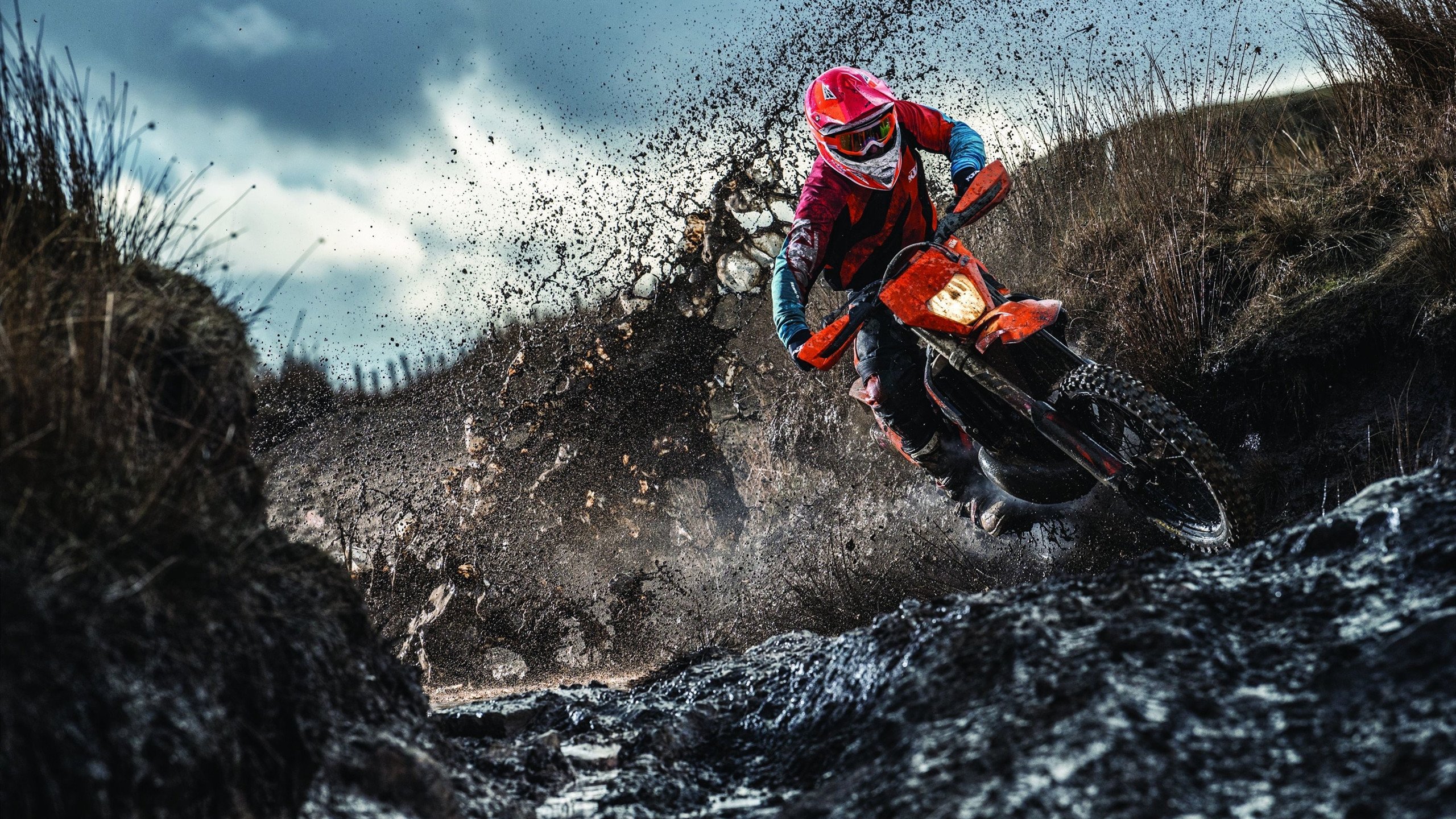 小贾伦关键时刻站出来，老鹰收割尼克斯，当非典型英雄撕掉剧本